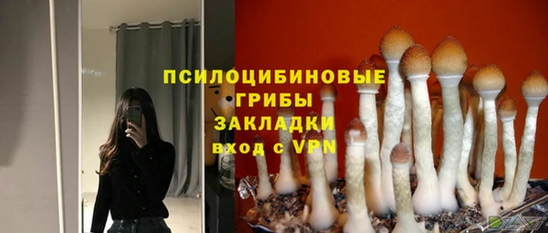 соль ск Балабаново