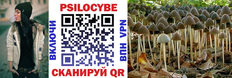 наркота Барабинск Галлюциногенные грибы Psilocybe